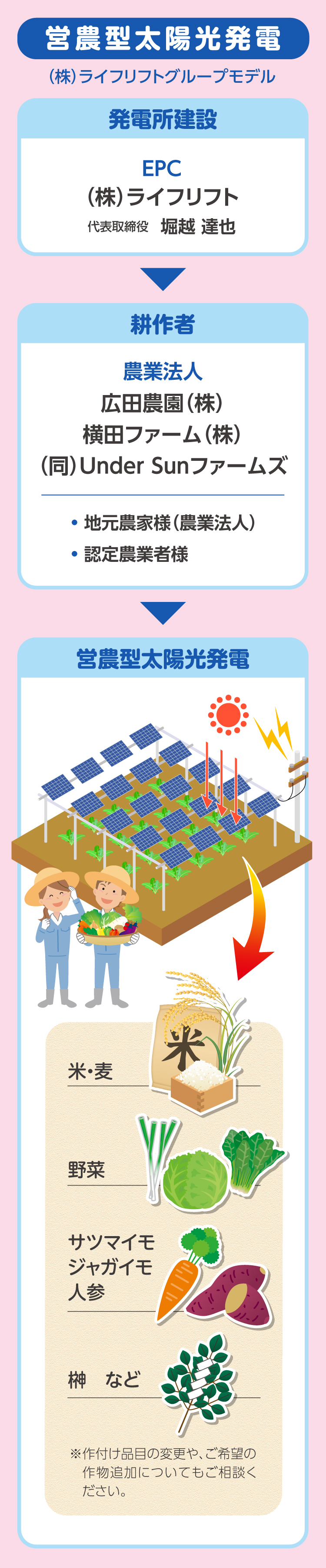 営農型太陽光発電グループモデル