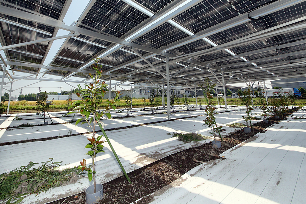 設置事例0001の写真