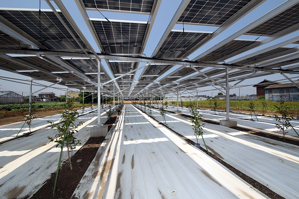 設置事例0002の写真