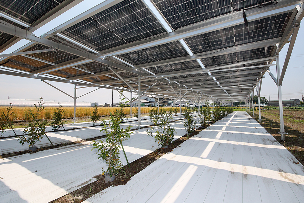 設置事例0003の写真