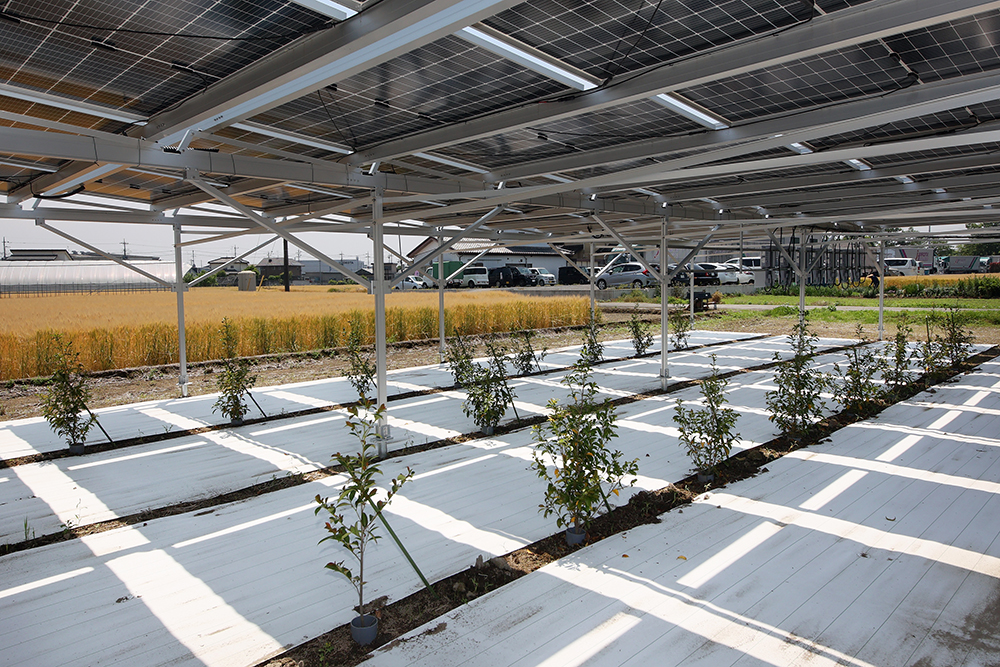 設置事例0003の写真