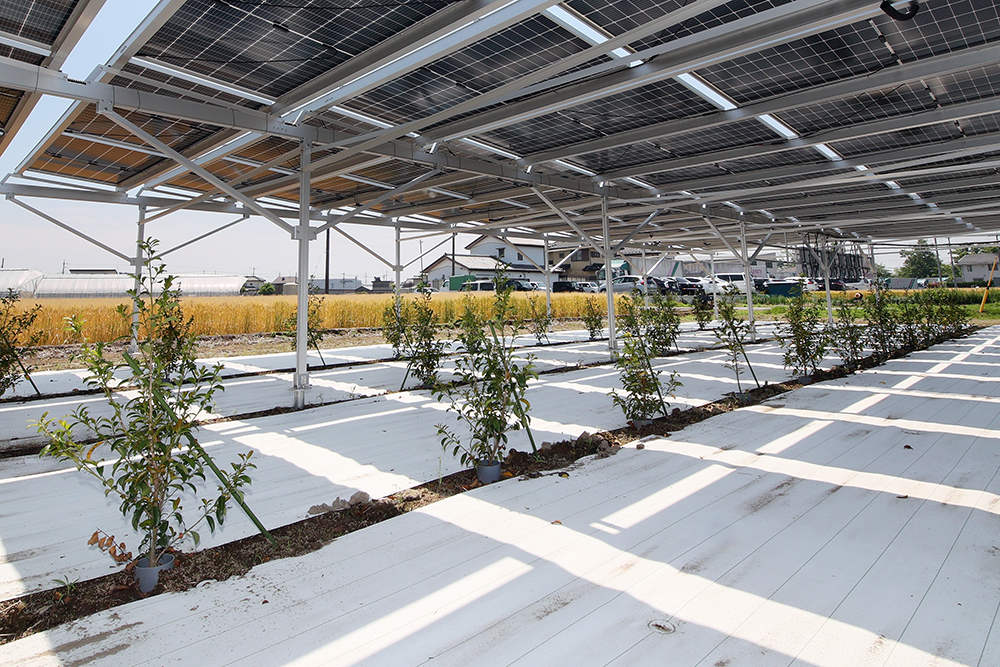 設置事例0003の写真