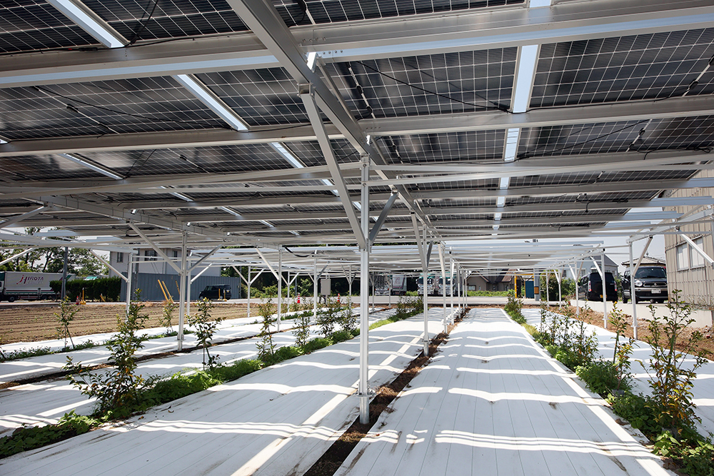 設置事例0004の写真